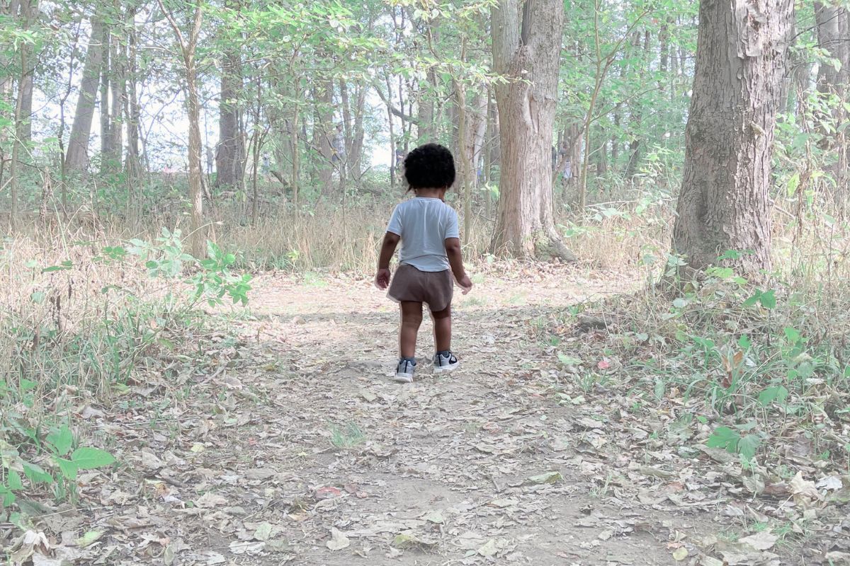 The Little Explorers Collection