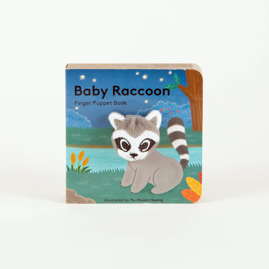Baby Raccoon