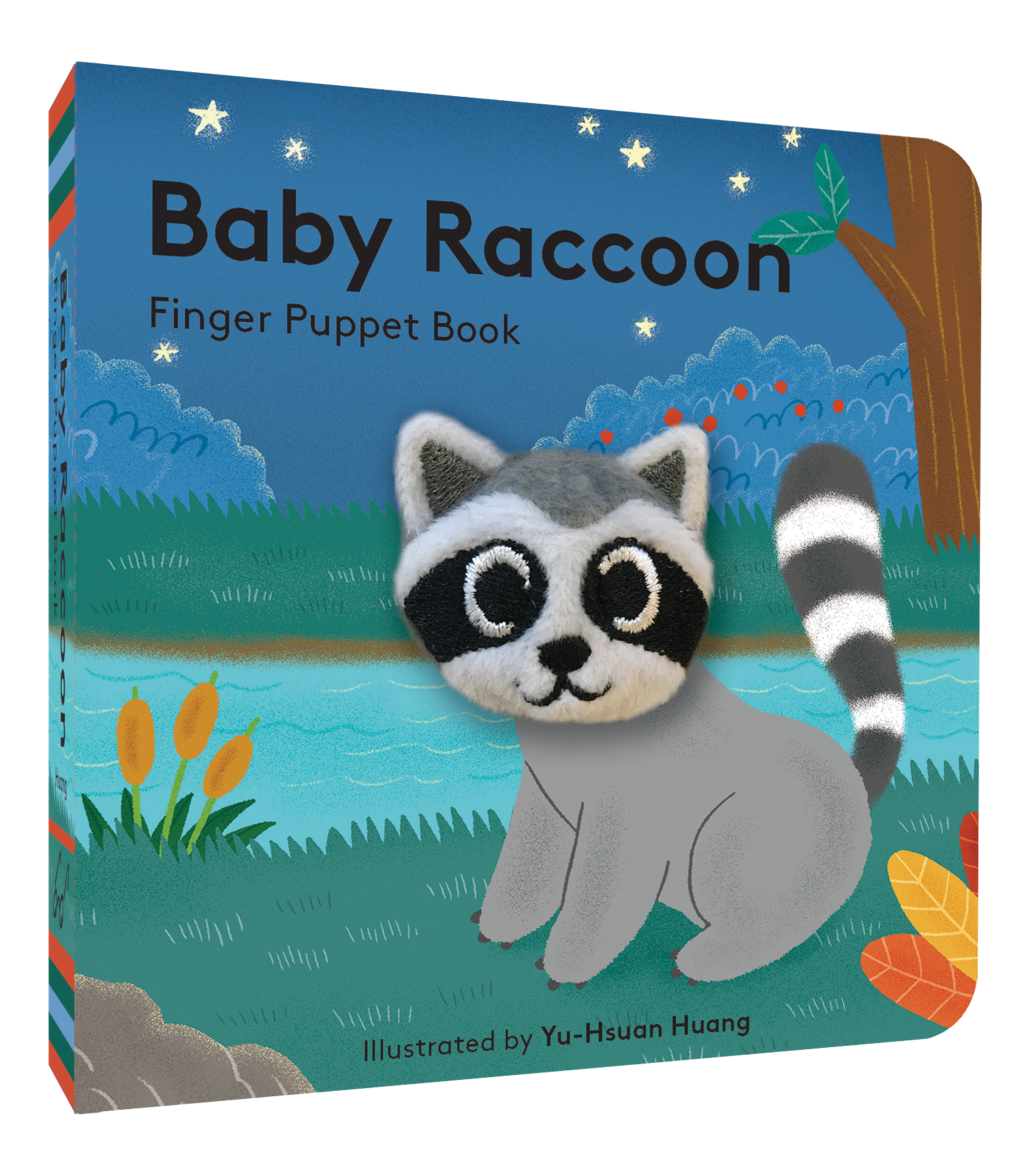 Baby Raccoon