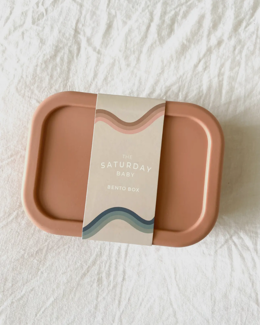 Coral Silicone Bento Box