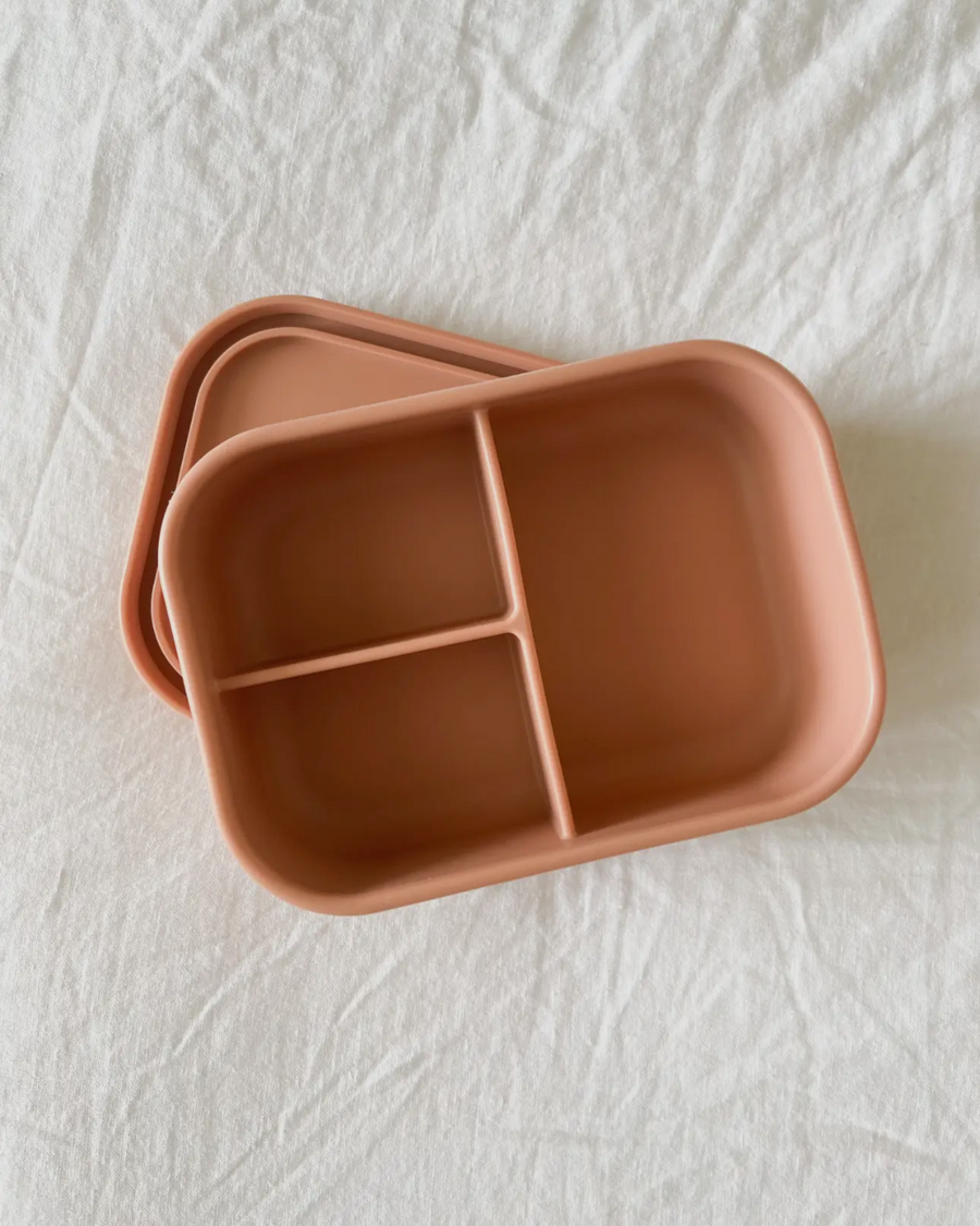 Coral Silicone Bento Box