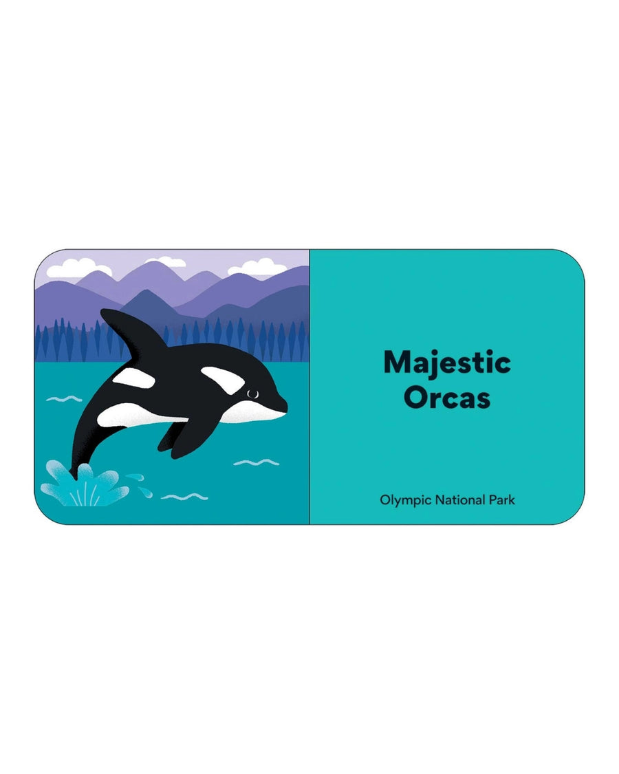 Little Park Ranger Board Book Set