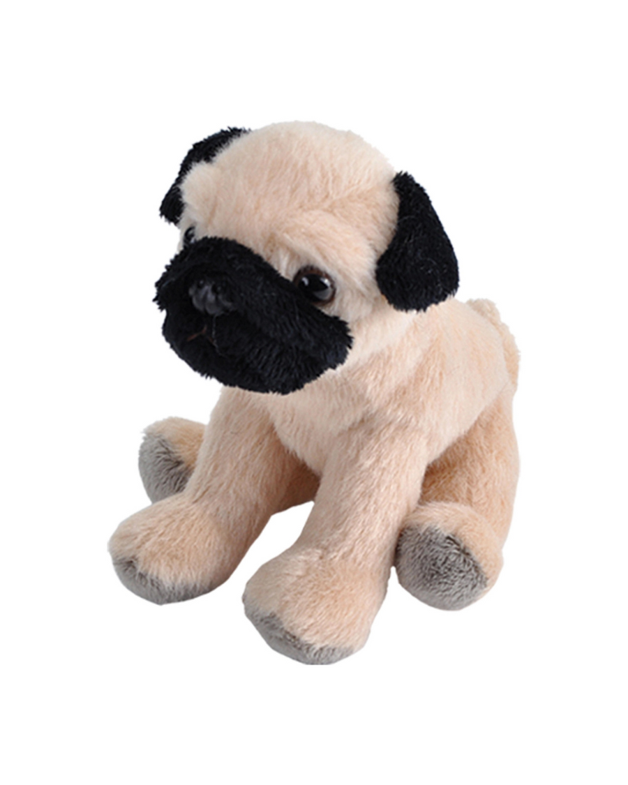 Plush toy pug dog on a white background