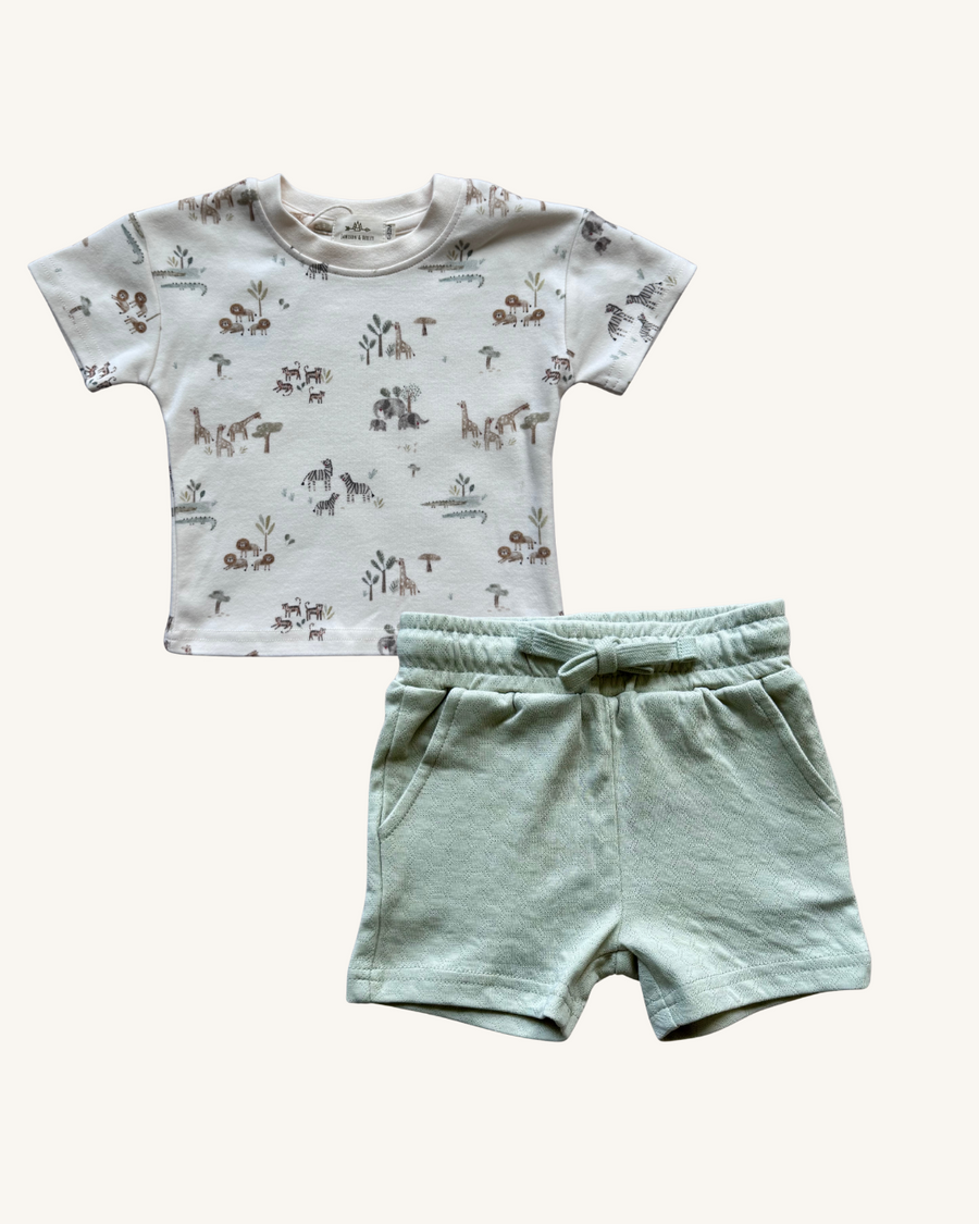 Sage Everyday Explorer Set