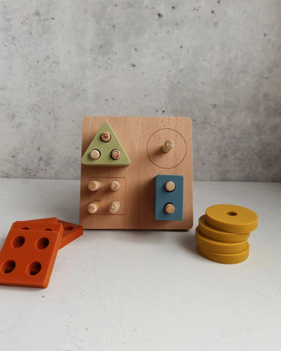 Shape Sorting Puzzle