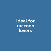 Baby Raccoon