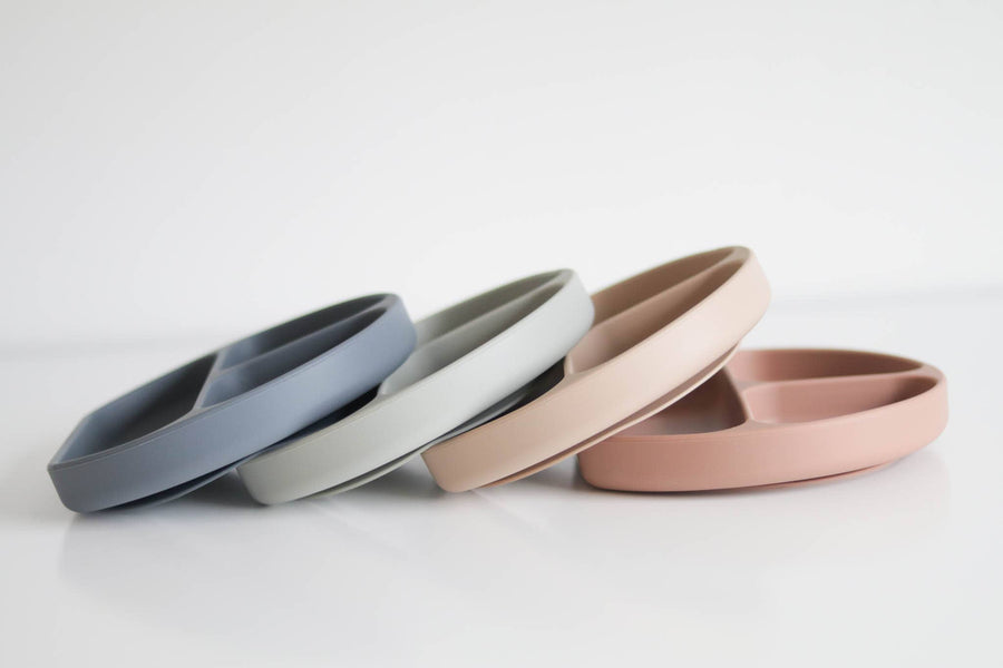 Silicone Suction Plate With Lid and Spoon: Ocean