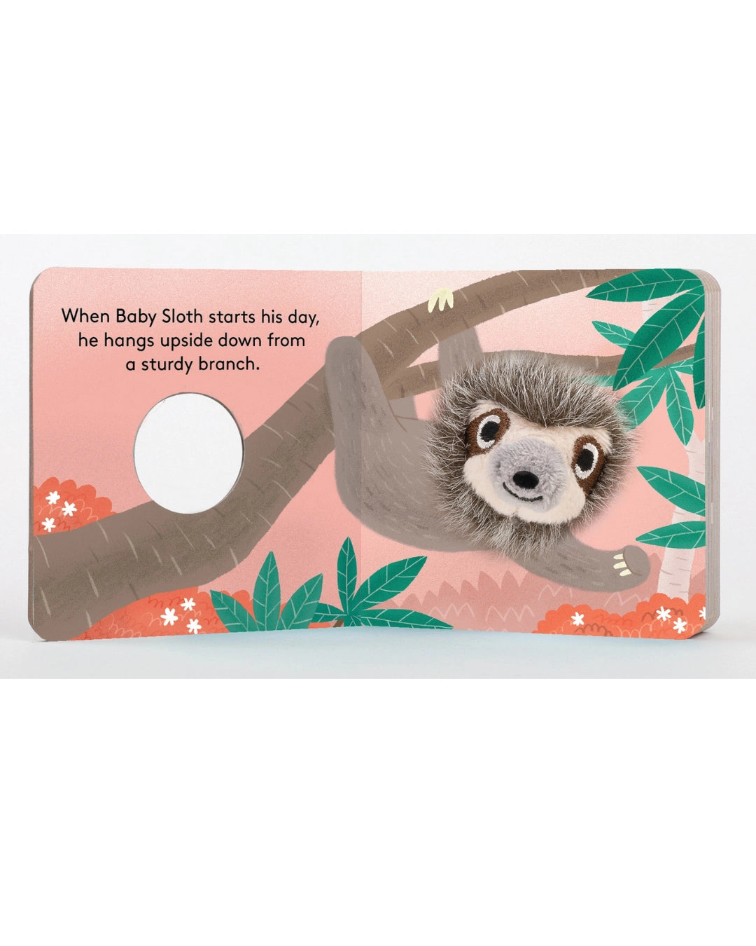 Baby Sloth