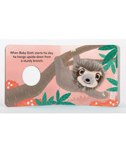 Baby Sloth